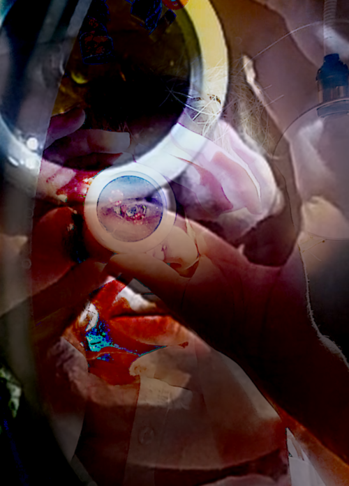 20240923_142117_wx.png