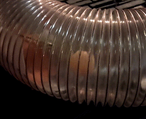 20250829_215123_xx.gif