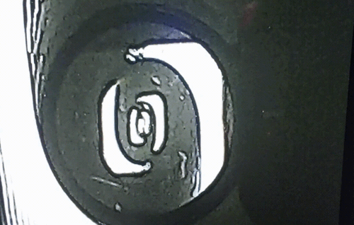 20251020_203500_xx.gif
