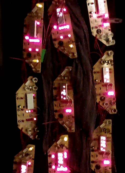 20260208_193015_xx.gif