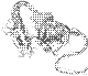 20250312_230303_x6_ps.jpg