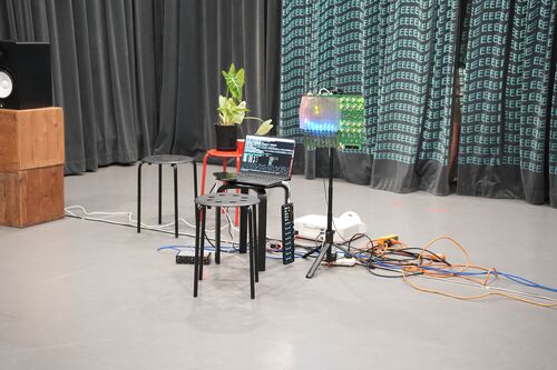 ../5nf268_Aloe36/20260822_211713_xx.jpg